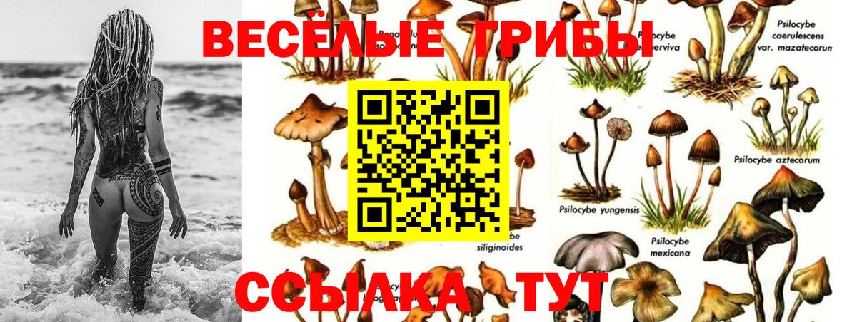 Галлюциногенные грибы Magic Shrooms Чайковский